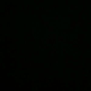 Meet your Posher, Dionna